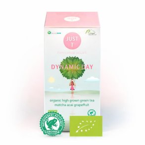 DYNAMIC DAY 6 �sker x 20 breve - Gr�n Te 