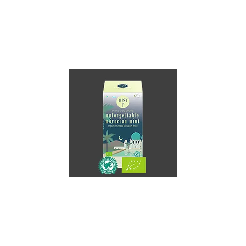 THE UNFORGETTABLE MOROCCAN MINT 6 sker x 20 breve (Grn Te )