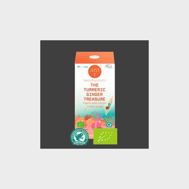 THE TURMERIC GINGER TREASURE (Grn Te )